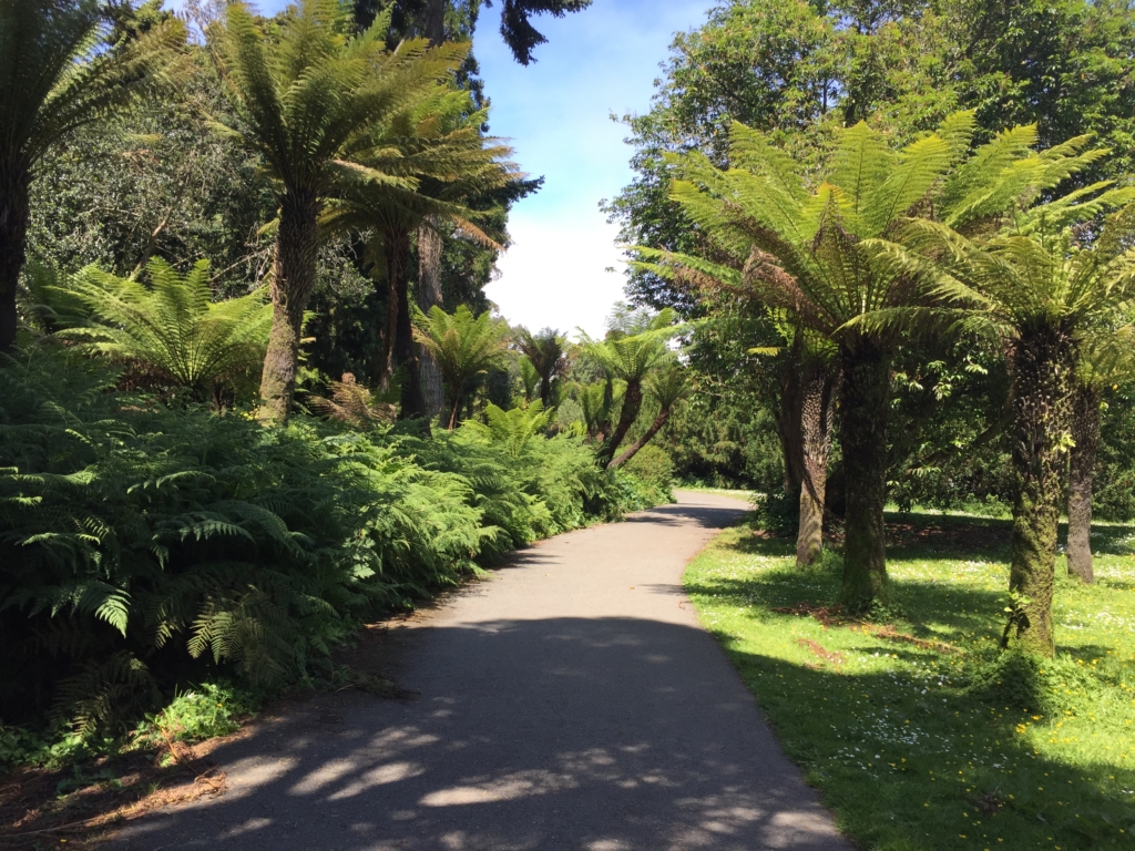 Golden Gate Park Path San Francisco