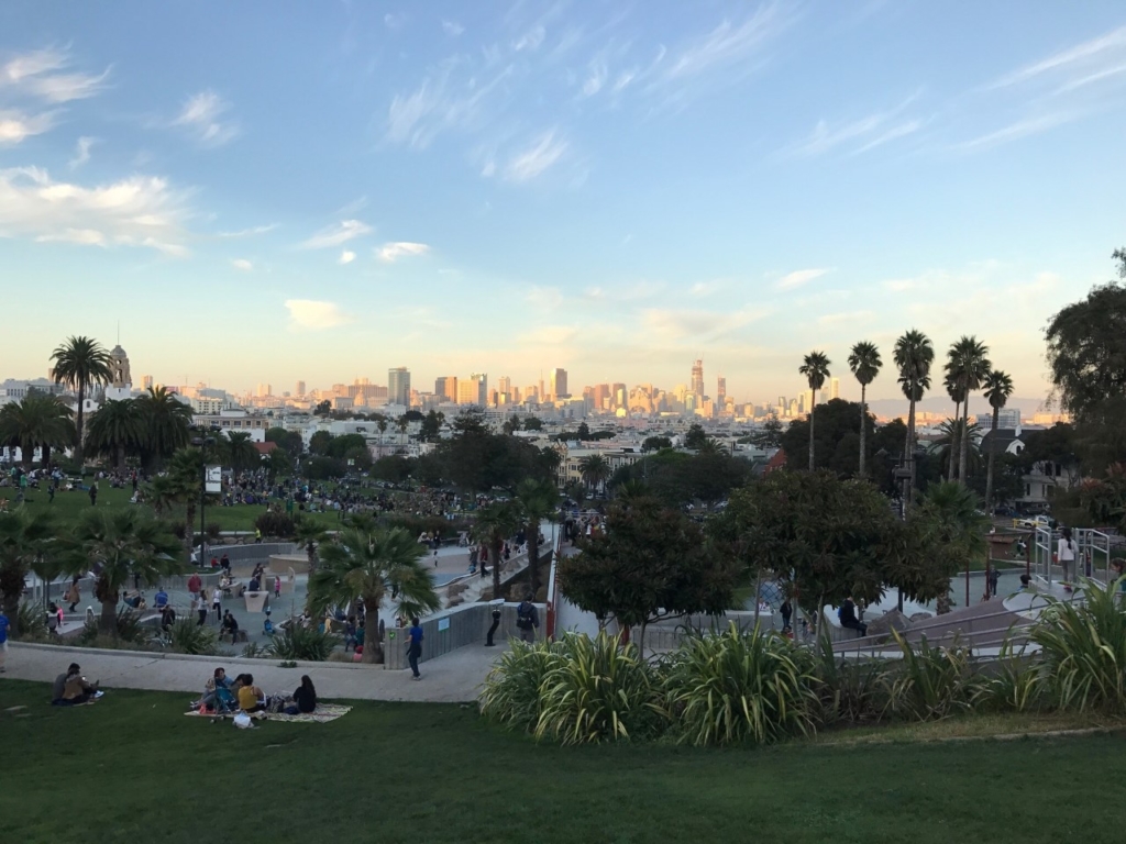 leopard-in-dolores-park-sf-7