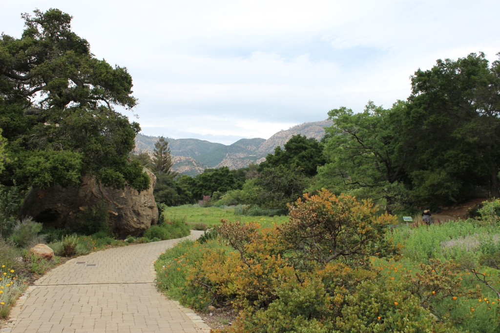 Santa Barbara Botanic Garden - Things to do in Santa Barbara California