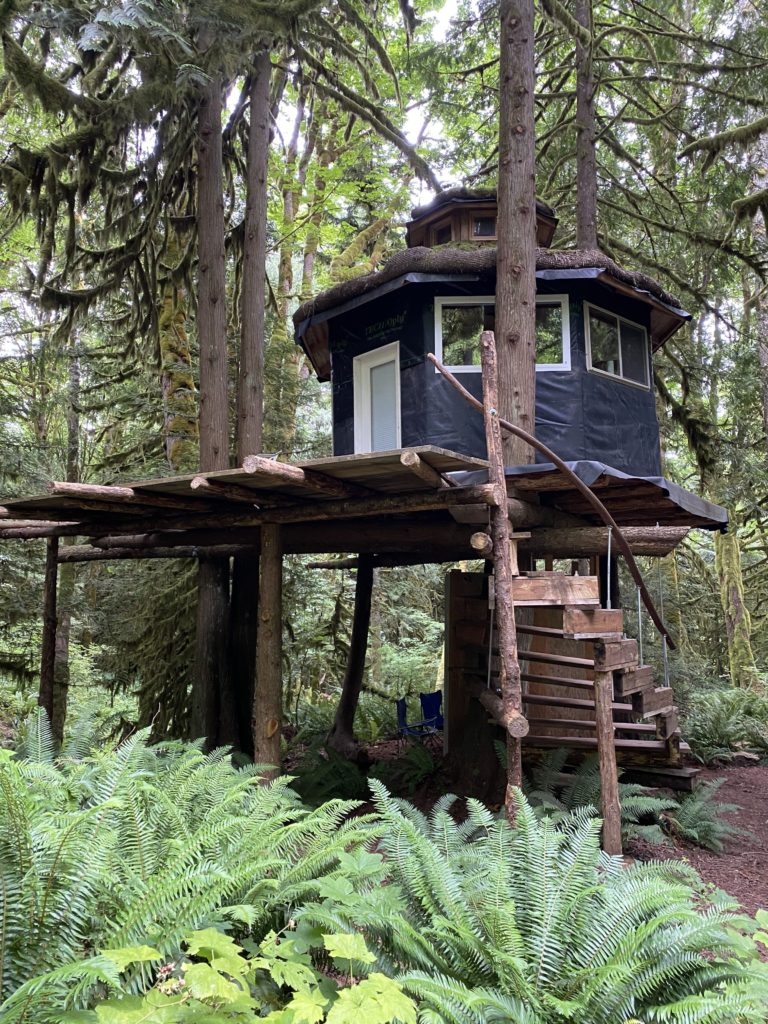 Treehouse in Rockport, WA on Pacific Northwest trip 