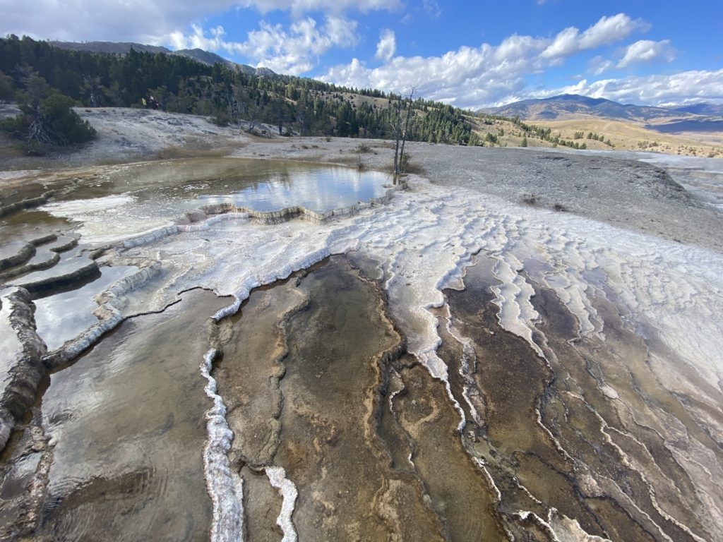 Mammoth Hot Spring terraces in Yellowstone by Madeline Mihaly 