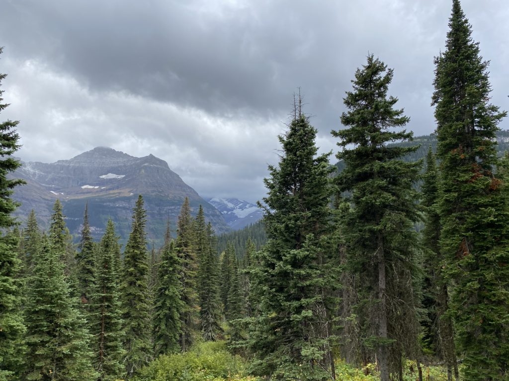 Jackson glacier overlook by Madeline Mihaly