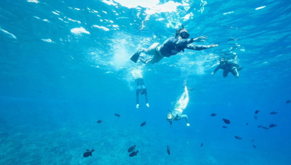 Snorkeling at Molokini Crater by Madeline Mihaly
