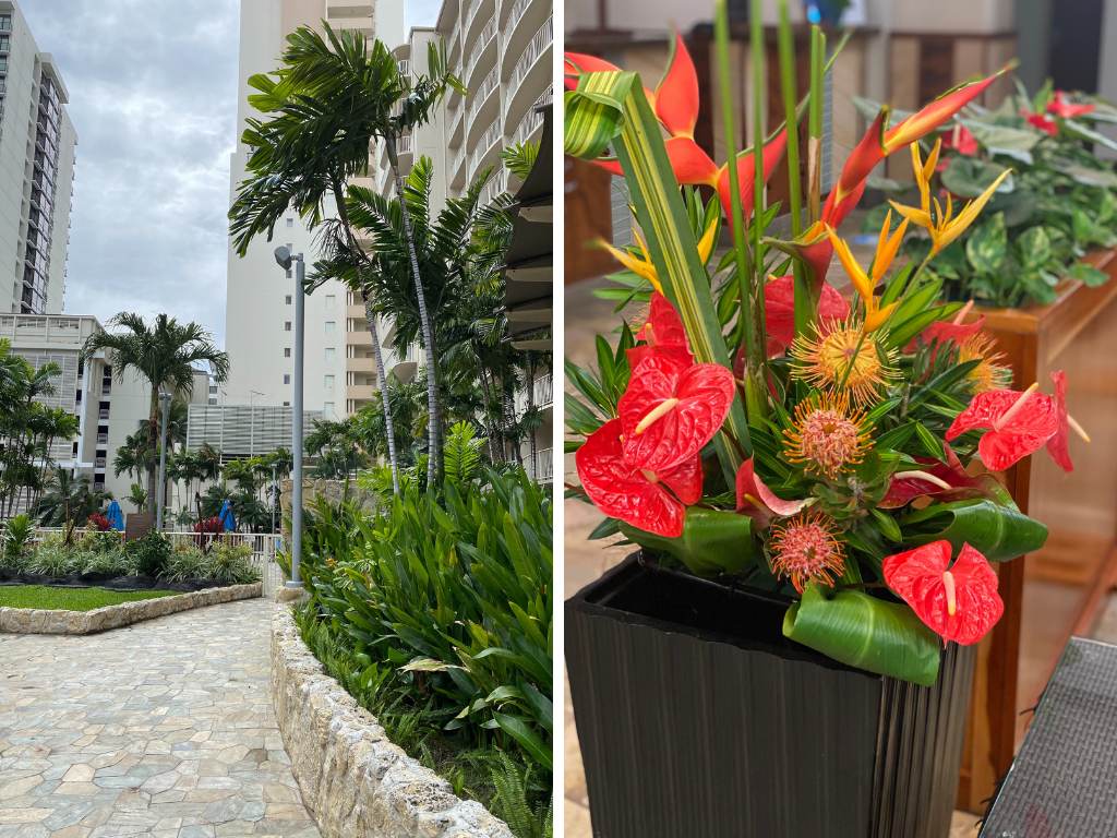 Wyndham at Waikiki Beach Walk by Madeline Mihaly