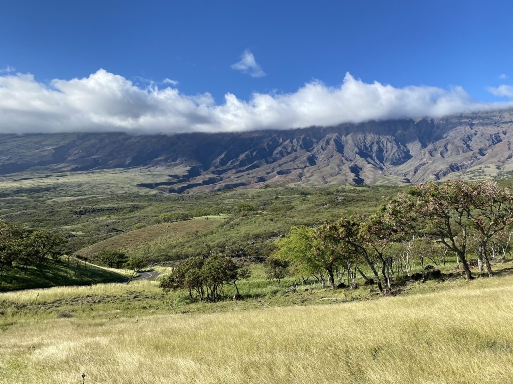 Driving through Maui by Madeline Mihaly