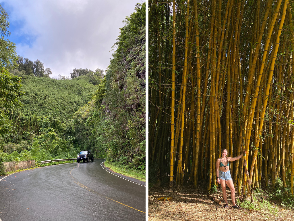 Twin Falls Bamboo and Road to Hana with Madeline Mihaly